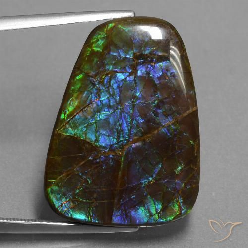 23.98 ct Multicolor Ammolite Gemstone, Ammolite Gem in Fancy Cabochon Shape for Sale.