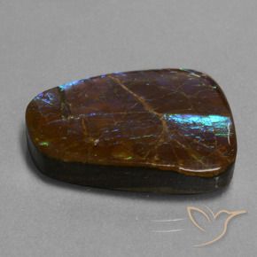 23.98 ct Multicolor Ammolite Stone, Natural Ammolite in Fancy Cabochon Shape for Sale