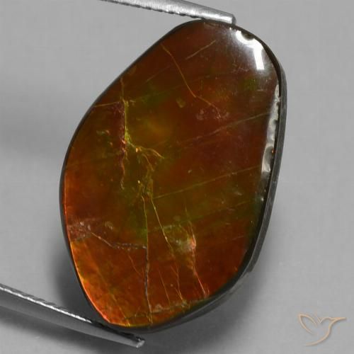 14.61ct Natural Multicolor Ammolite, Fancy, Opaque