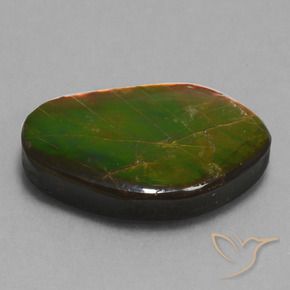 14.61 ct Multicolor Ammolite Stone, Natural Ammolite in Fancy Cabochon Shape for Sale