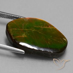 Ammolite Gemstone in 23.5 x 15.3 mm Size for Sale, Ammolite Stone in Multicolor Color