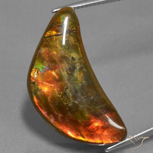 17.19ct Natural Multicolor Ammolite, Fancy, Opaque