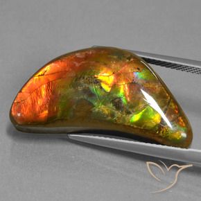 17.19 ct Multicolor Ammolite Stone, Natural Ammolite in Fancy Cabochon Shape for Sale