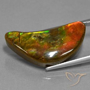 Ammolite Gemstone in 27.5 x 13.5 mm Size for Sale, Ammolite Stone in Multicolor Color