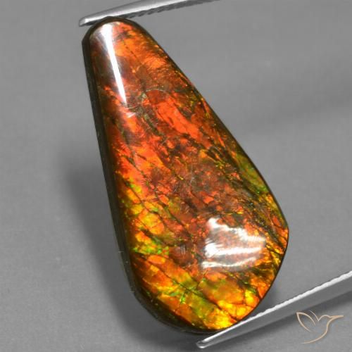 14.87ct Natural Multicolor Ammolite, Fancy, Opaque