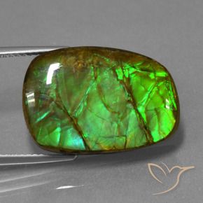 13.93 ct Multicolor Ammolite Stone, Natural Ammolite in Fancy Cabochon Shape for Sale