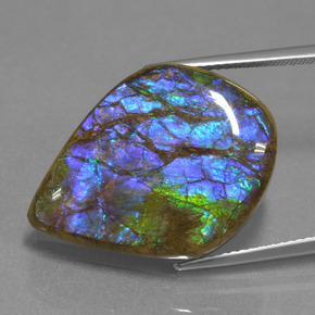 18.07 ct Multicolor Ammolite Stone, Natural Ammolite in Fancy Cabochon Shape for Sale