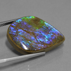 Ammolite Gemstone in 24.8 x 18.4 mm Size for Sale, Ammolite Stone in Multicolor Color