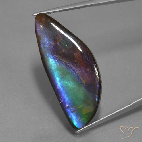 Multicolor Ammolite Gem - 21.3ct Fancy Cabochon (ID: 451537)