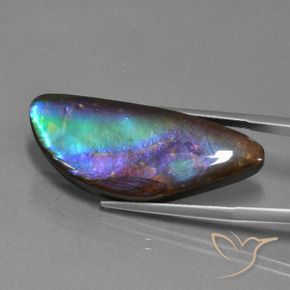 21.30 ct Multicolor Ammolite Stone, Natural Ammolite in Fancy Cabochon Shape for Sale
