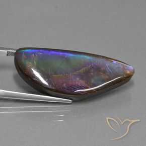 Ammolite Gemstone in 33.9 x 13.8 mm Size for Sale, Ammolite Stone in Multicolor Color