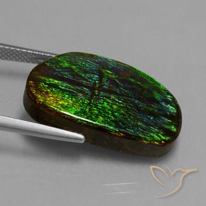 Ammolite Gemstone in 23.7 x 15 mm Size for Sale, Ammolite Stone in Multicolor Color