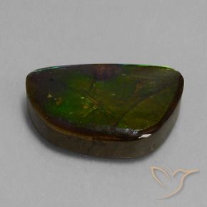 14.74 ct Multicolor Ammolite Stone, Natural Ammolite in Fancy Cabochon Shape for Sale