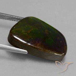 Ammolite Gemstone in 21 x 14.3 mm Size for Sale, Ammolite Stone in Multicolor Color