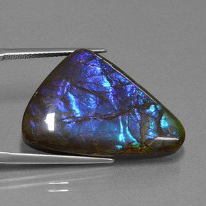 22.64 ct Multicolor Ammolite Stone, Natural Ammolite in Fancy Cabochon Shape for Sale