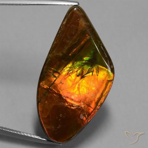 21.71ct Natural Multicolor Ammolite, Fancy, Opaque