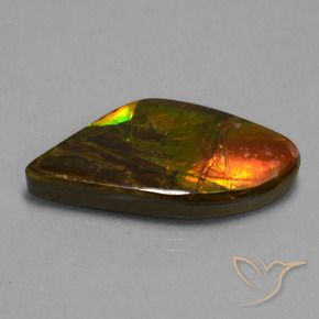 21.71 ct Multicolor Ammolite Stone, Natural Ammolite in Fancy Cabochon Shape for Sale
