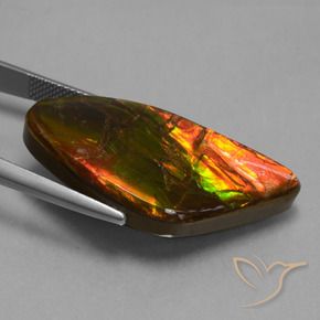 Ammolite Gemstone in 33.3 x 17.1 mm Size for Sale, Ammolite Stone in Multicolor Color