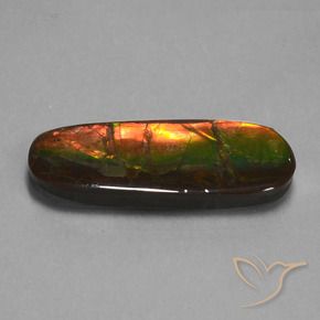 24.02 ct Multicolor Ammolite Stone, Natural Ammolite in Fancy Cabochon Shape for Sale