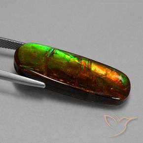 Ammolite Gemstone in 35.5 x 13.8 mm Size for Sale, Ammolite Stone in Multicolor Color
