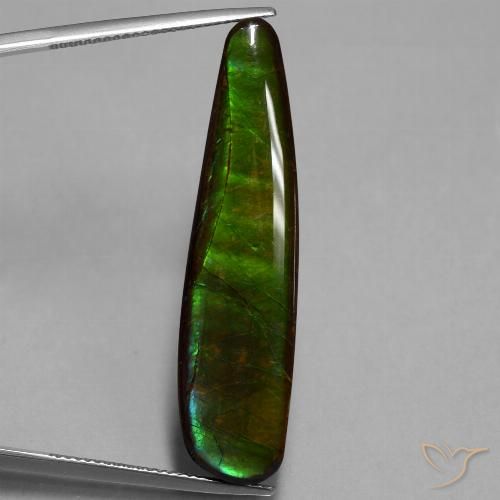 19.66ct Natural Multicolor Ammolite, Fancy, Opaque