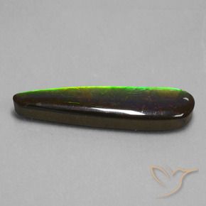19.66 ct Multicolor Ammolite Stone, Natural Ammolite in Fancy Cabochon Shape for Sale