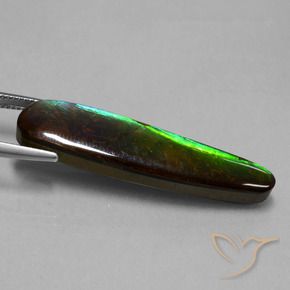 Ammolite Gemstone in 40.9 x 10.2 mm Size for Sale, Ammolite Stone in Multicolor Color