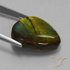 Ammolite Gemstone in 21.6 x 19.3 mm Size for Sale, Ammolite Stone in Multicolor Color