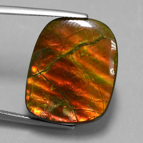 20.27 ct Multicolor Ammolite Gemstone, Ammolite Gem in Fancy Cabochon Shape for Sale.