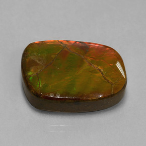 20.27 ct Multicolor Ammolite Stone, Natural Ammolite in Fancy Cabochon Shape for Sale