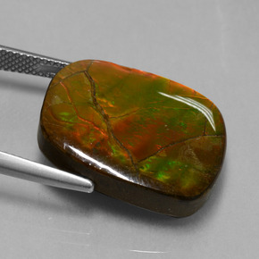 Ammolite Gemstone in 22 x 17.9 mm Size for Sale, Ammolite Stone in Multicolor Color