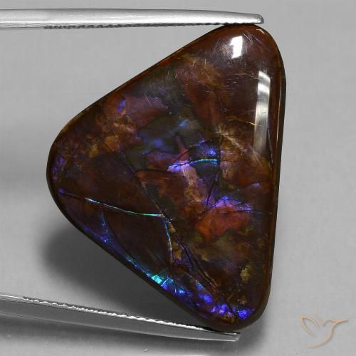 Ammolite Trillion en damier des États-Unis 23,63 ct, dimension 28,3 x 21,3mm, pureté Opaque , pierre gemme naturelle assemblé, 1 pièce d'ammolite de couleur Multicolore, dureté Mohs de 4 à 4, Photo A