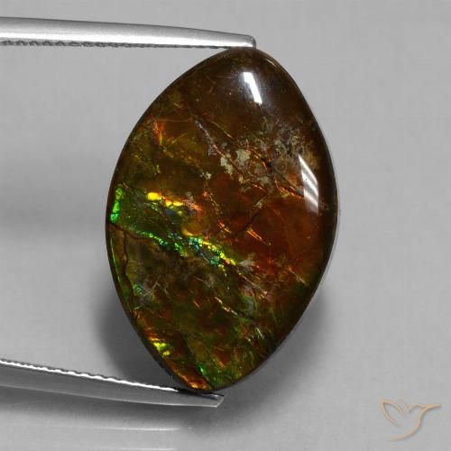 13.51ct Natural Multicolor Ammolite, Marquise, Opaque