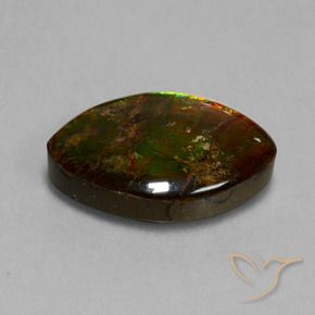 13.51 ct Multicolor Ammolite Stone, Natural Ammolite in Marquise Cabochon Shape for Sale