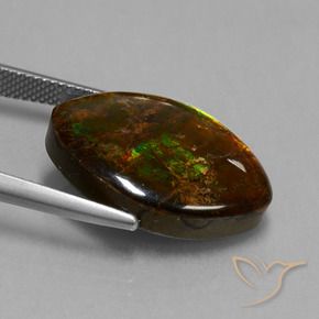 Ammolite Gemstone in 22.4 x 14.8 mm Size for Sale, Ammolite Stone in Multicolor Color