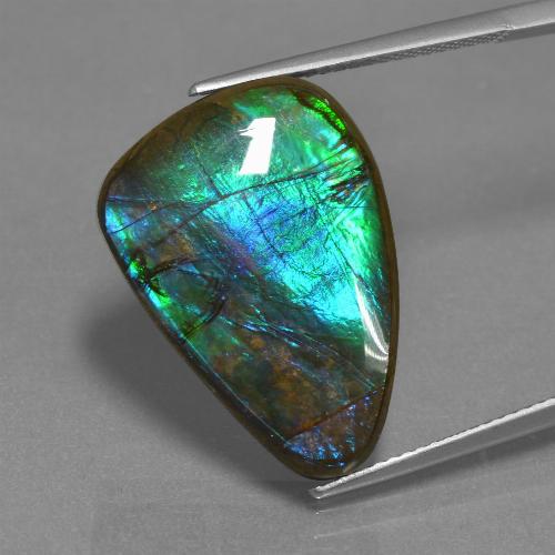 Multicolor Ammolite Gem - 14.8ct Shark Fin Cabochon (ID: 451550)