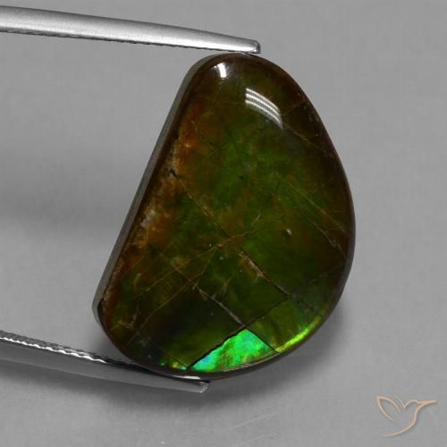 15.89ct Natural Multicolor Ammolite, Fancy, Opaque