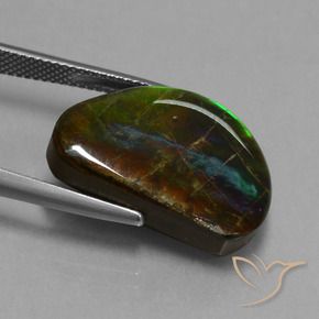 Ammolite Gemstone in 21.7 x 15.1 mm Size for Sale, Ammolite Stone in Multicolor Color