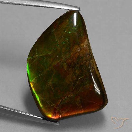 15.62 ct Fancy Ammolite, 23 x 15.6 mm From Canada, Photo A