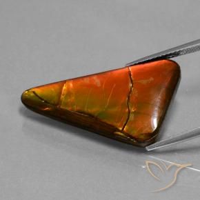 17.93 ct Multicolor Ammolite Stone, Natural Ammolite in Trillion Cabochon Shape for Sale