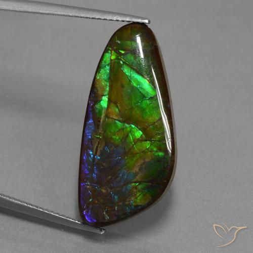 16.76ct Natural Multicolor Ammolite, Fancy, Opaque