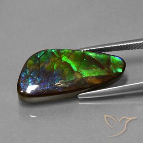 16.76 ct Multicolor Ammolite Stone, Natural Ammolite in Fancy Cabochon Shape for Sale
