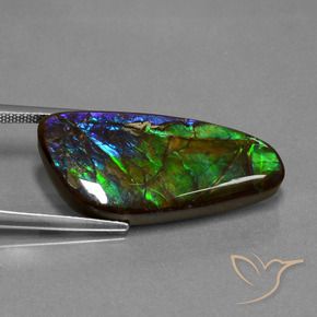 Ammolite Gemstone in 29.3 x 13.6 mm Size for Sale, Ammolite Stone in Multicolor Color