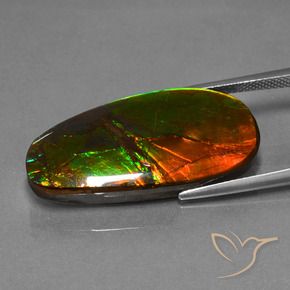 21.63 ct Multicolor Ammolite Stone, Natural Ammolite in Fancy Cabochon Shape for Sale