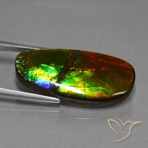Ammolite Gemstone in 30.6 x 14.6 mm Size for Sale, Ammolite Stone in Multicolor Color