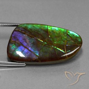 Ammolite Gemstone in 31 x 17.6 mm Size for Sale, Ammolite Stone in Multicolor Color
