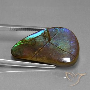 20.44 ct Multicolor Ammolite Stone, Natural Ammolite in Fancy Cabochon Shape for Sale