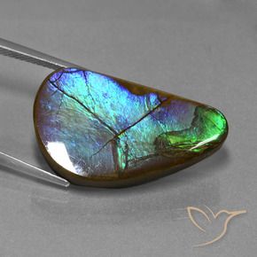 Ammolite Gemstone in 28.2 x 16.8 mm Size for Sale, Ammolite Stone in Multicolor Color