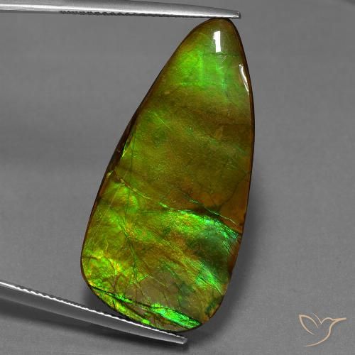 24.28 ct Fancy Ammolite, 35.5 x 17.1 mm From Canada, Photo A