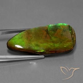 24.28 ct Multicolor Ammolite Stone, Natural Ammolite in Shark Fin Cabochon Shape for Sale